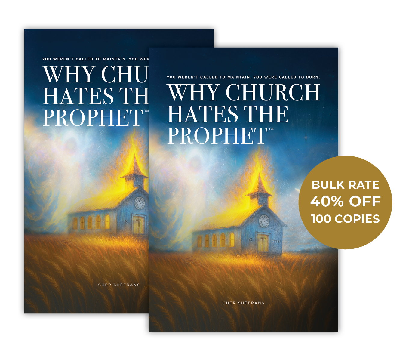 Why Church Hates the Prophet™ | Cher Shefrans | Discount Bundle – 100 Copies